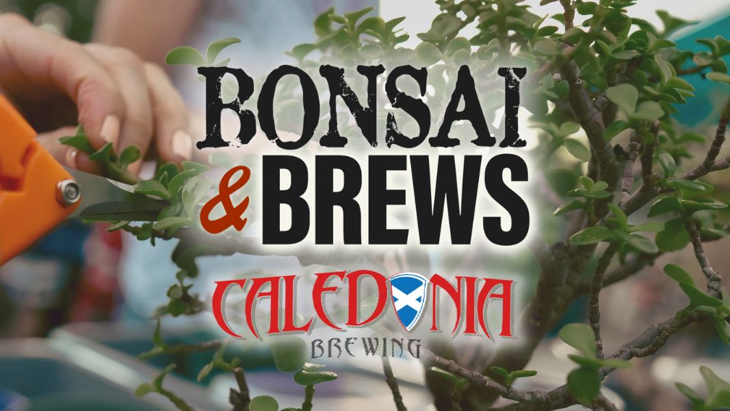 Bonsai and Brews at Caledonia Brewing, Dunedin, Florida, United States