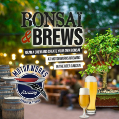 Bonsai and Brews at Motorworks Brewing | Bradenton