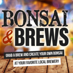 Bonsai and Brews at Cigar City Brewing