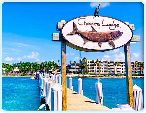 Innovations in Wound Healing (IWH) Conference 2024, Islamorada, Florida, United States