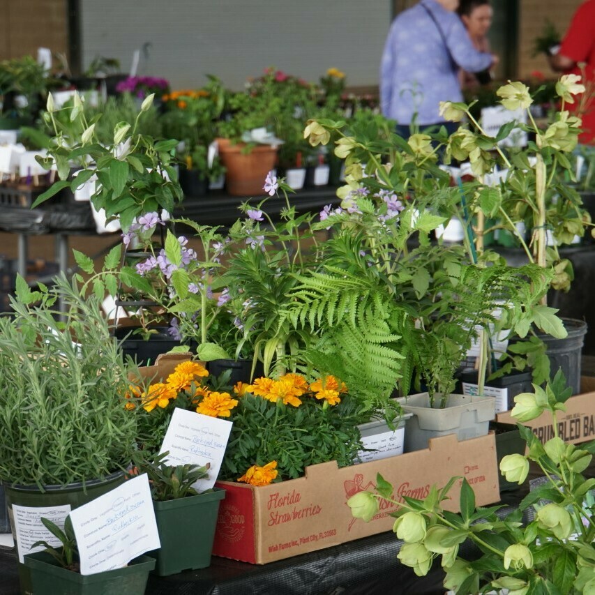 Williamson County Master Gardener Association Spring Garden Festival and Plant Sale, Franklin, Tennessee, United States