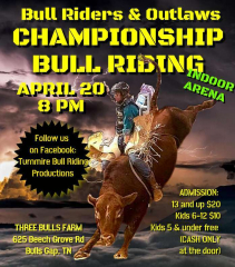 Championship Bull Riding!!