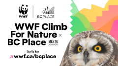 WWF Climb for Nature - BC Place, May 26, 2024 at Coquitlam City Hall