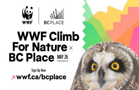 WWF Climb for Nature at BC Place, May 26, 2024, Vancouver, British Columbia, Canada