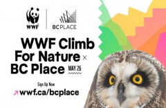 WWF Climb for Nature at BC Place, May 26, 2024