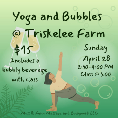 Yoga and Bubbles at Triskelee Farm