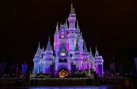 Primary Care CME at Walt Disney World Orlando, February 2025, Orlando, Florida, United States