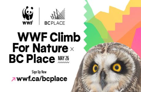 WWF Climb for Nature - BC Place, May 26, 2024 at Surrey, Surrey, British Columbia, Canada