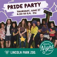Adults Night Out: Pride Party