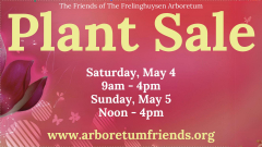 2024 Plant Sale - Friends of The Frelinghuysen Arboretum