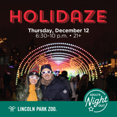 Adults Night Out: Holidaze