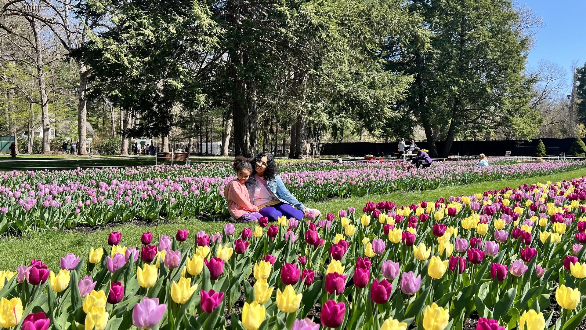 Tulip Mania at the Garden at Elm Bank, Wellesley, Massachusetts, United States