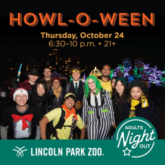 Adults Night Out: Howl-o-ween