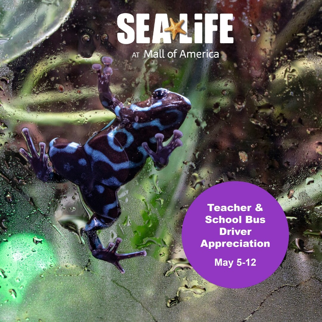 Teacher and School Bus Driver Appreciation Days (May 5-12) at SEA LIFE at Mall of America, Bloomington, Minnesota, United States