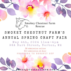 Smokey Chestnut Farm Rescue Craft Fair