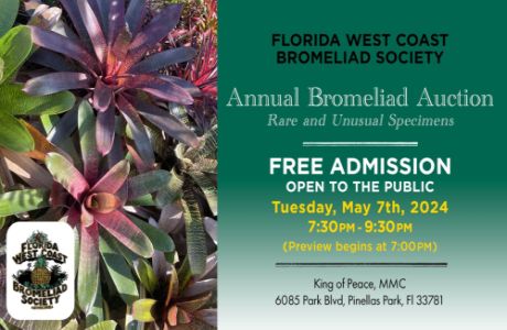 Annual Bromeliad Auction! Florida West Coast Bromeliad Society May 7th!, Pinellas Park, Florida, United States