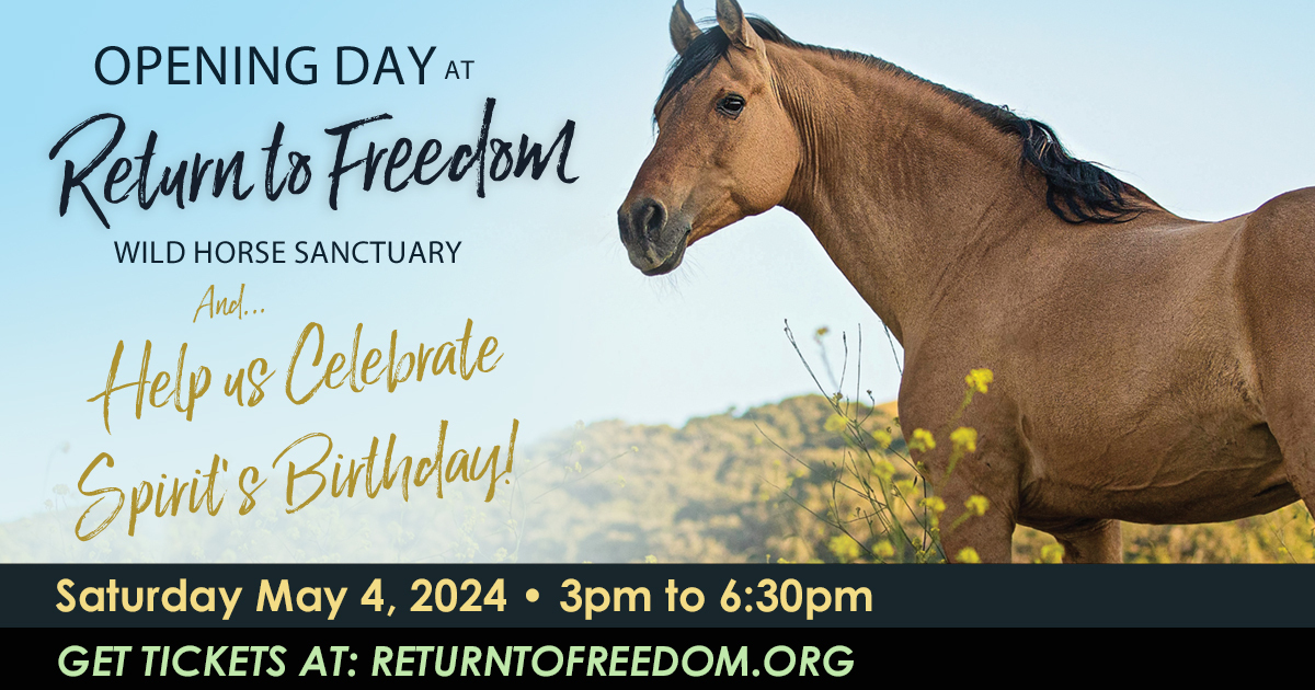 Opening Day and Spirit's Birthday!, Lompoc, California, United States