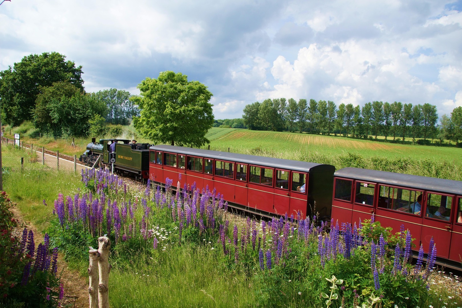 Nature by Rail, Norwich, England, United Kingdom