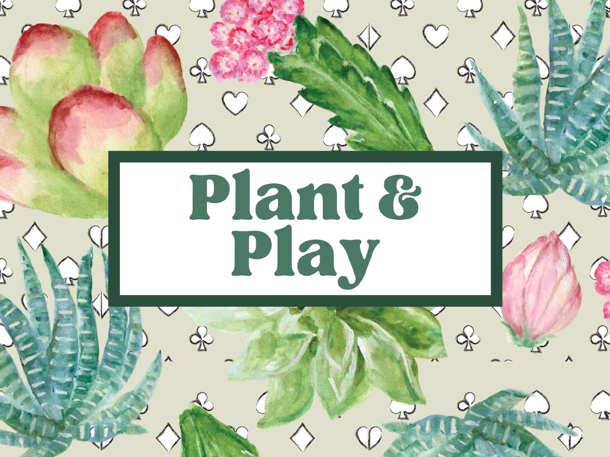 Plant and Play - Succulent Night at The Brook, Seabrook, New Hampshire, United States