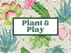 Plant and Play - Succulent Night at The Brook
