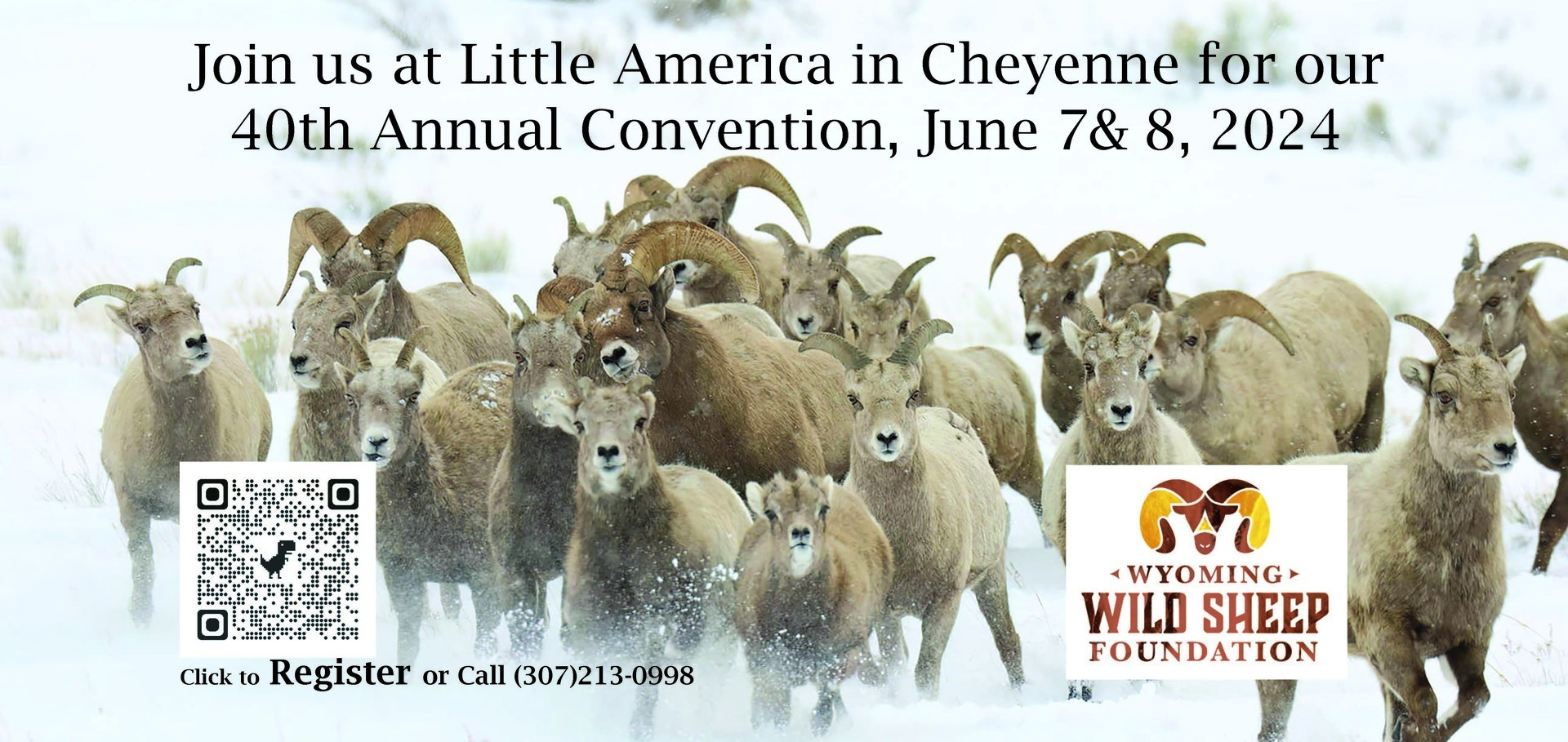 Wyoming Wild Sheep Foundation 40th Annual Convention, Cheyenne, Wyoming, United States