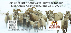 Wyoming Wild Sheep Foundation 40th Annual Convention