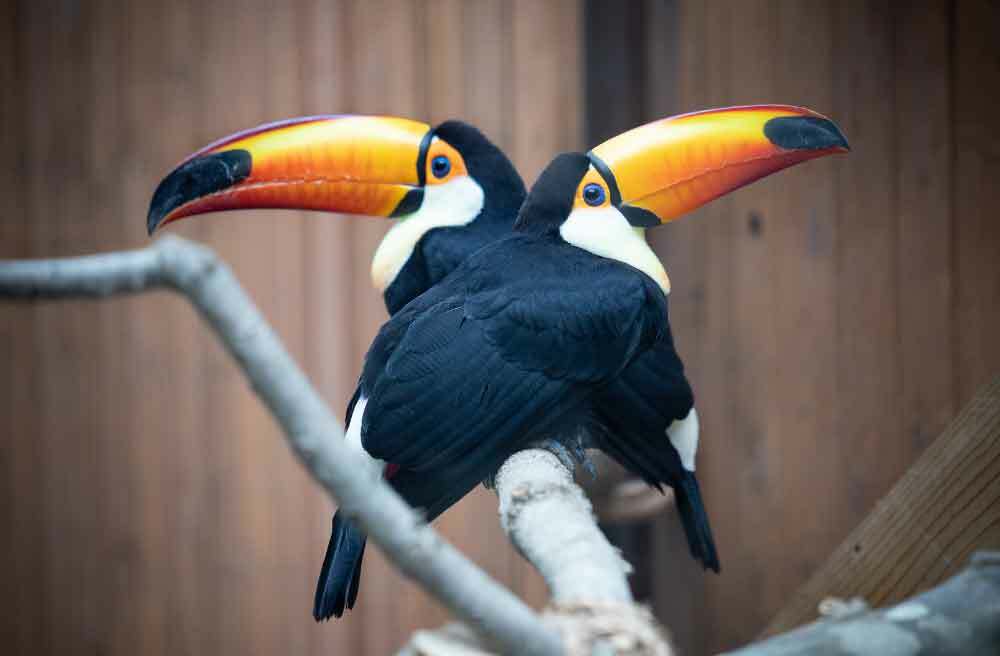 PRIDE DAY @ BRANDYWINE ZOO, Wilmington, Delaware, United States