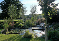 Witchampton's Wonderful Open Gardens Festival May 26th and 27th