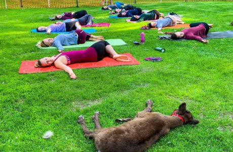 Fly and Flow - Yoga with Reindeer, Fairbanks, Alaska, United States