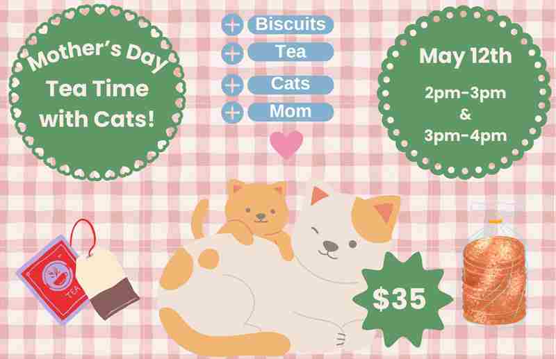 Mother's Day Tea Time - With Cats!, San Francisco, California, United States