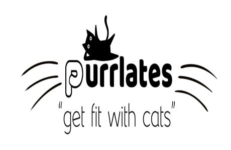 Purrlates (Pilates) - with rescue and adoptable cats!, San Francisco, California, United States