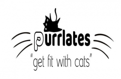 Purrlates (Pilates) - with rescue and adoptable cats!