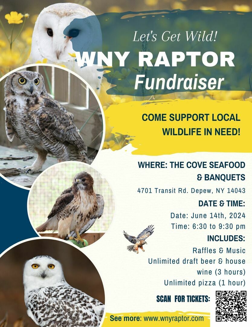 WNY Raptor Wildlife Fundraiser!, Depew, New York, United States