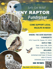 WNY Raptor Wildlife Fundraiser!