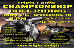 Championship Bull Riding!!