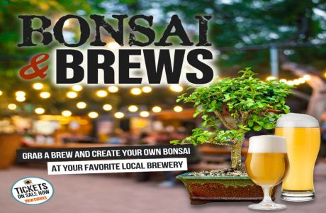 Bonsai and Brews at Mastry's Brewing in St Pete Beach, St. Pete Beach, Florida, United States