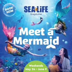 Meet A Mermaid at SEA LIFE Grapevine
