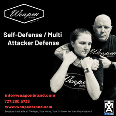 Self-Defense / Multi Attacker Defense