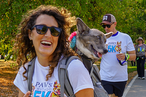 PAWS Chicago 5K, Chicago, Illinois, United States