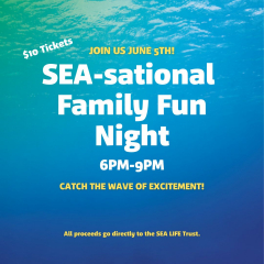 Family Fun Night
