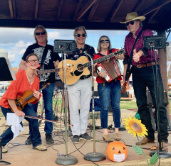 Saturday Night Series: Live Music