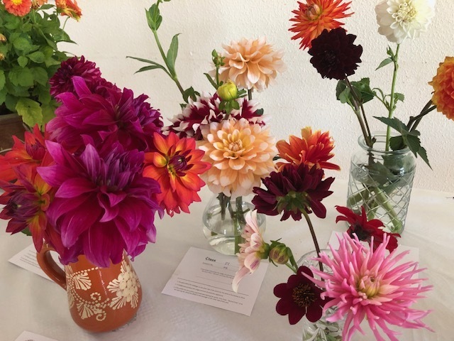 Autumn Flower and Vegetable Show, Saint Neots, England, United Kingdom