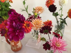 Autumn Flower and Vegetable Show