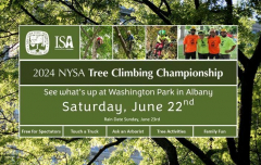NYS Tree Climbing Championship