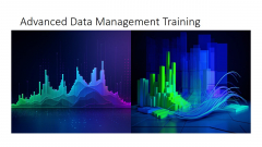 Advanced Data Management Training