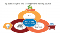 Big Data Analytics and Management Training Course
