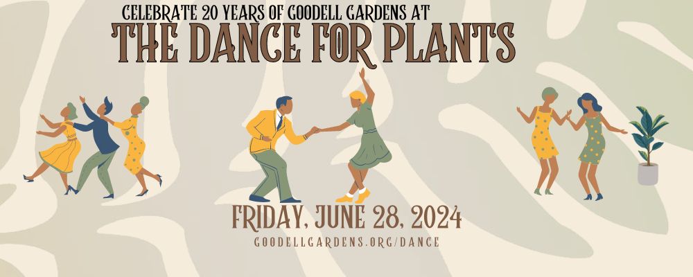 The Dance For Plants, Edinboro, Pennsylvania, United States