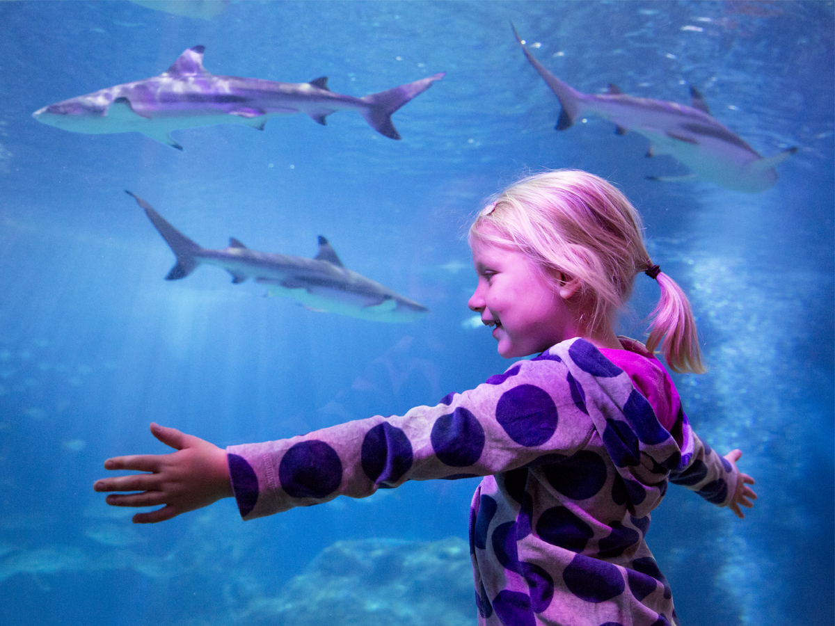 Teacher Appreciation Days at Michigan's Largest Aquarium - FREE Entry for Teachers, Auburn Hills, Michigan, United States