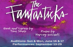 Treasure Coast Theatre holds audition for the classic musical "The Fansticks"