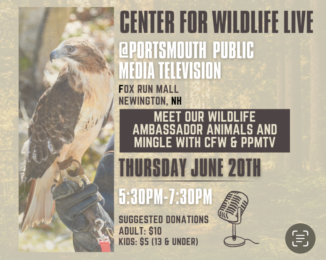 Meet the Animal Ambassadors, Newington, New Hampshire, United States